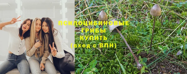соль курить ск Осинники