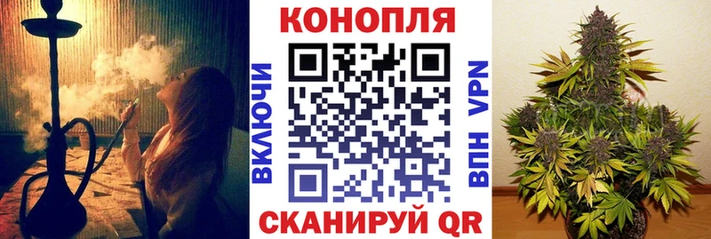 где купить   Щёкино  Каннабис OG Kush 